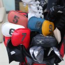 위너골프클럽 이미지