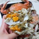 가락시장 꽃게찜 퀵 배달 대만족 후기 봄 암꽃게 시세 내돈내산