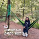 산하삼계탕 | 국립산림치유원 예약 숙박 후기 영주 가볼만한곳(feat.1박2일 웰니스 팸투어)