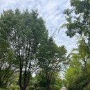 한국폴리텍 II 대학 남인천캠퍼스 이미지