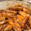 봉덕계곡 | 장흥 달빛계곡캠핑장 B사이트 후기~