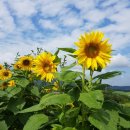 보람농장 이미지