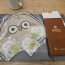 한국승강기 안전관리원 | 한국의약품안전관리원 면접 후기