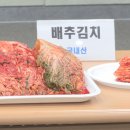 새경북약국 | 김치 소비 실태 진실 공개! 중국산 VS 국산 김치, 소비층이 바뀐 놀라운 현상