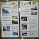 여수 가볼 만한 곳 자산공원 및 오동도 당일치기 여행 후기