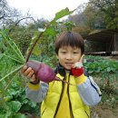 유안농장 이미지