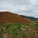 진모축구장 이미지