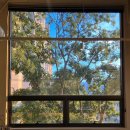 씨유 배곧아브뉴프랑 | 얼렁뚱땅 8월 첫 주