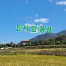 고흥윤호21병원 | [고흥 부동산 매물] 농장형 수익 전원주택 매매 긴급 1억 4천 하락된 가격!