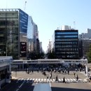 학교터미널 자전거 보관소 이미지