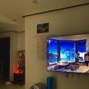 천도리양지마을 이미지