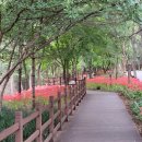 수목원 생활온천 이미지