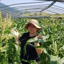 수곡농장 이미지