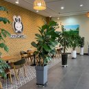 TOY&CAFE원앤원(토이앤카페원앤원)