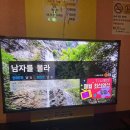 그린피아 코인노래연습장 이미지