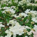 음악여행 노래연습장 이미지