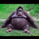 한샘농장 | [임신기록 13] 27~30주