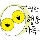 에이치에스피 네이버블로그