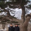 (주)들머리