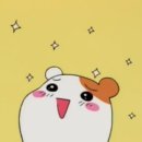 공감 이미지