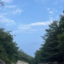 서림민박 이미지