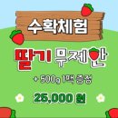 비슬로63길 이미지