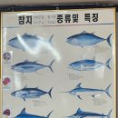 유진회집 이미지