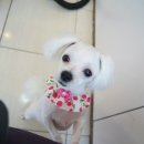 성내동물병원 이미지