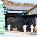 임순석 농장 이미지