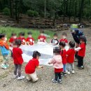 동화나라숲 어린이집 이미지