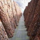 형지농장 이미지