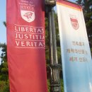 안암동자치회관 4층 회의실 | 고려대학교 캠퍼스 직찍사진 139장