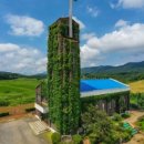 담서원 | (충청도여행) 배롱꽃이 어우러진 충곡서원,,장전중앙교회 (2026-7-30)