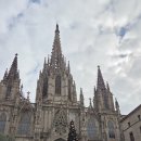 2254 | [신혼여행 #7] 바르셀로나의 마지막 밤(신혼 스냅 촬영, 지하철 T-familiar, 2254 tapas 맛집)