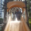 샘머리초교병설 이미지