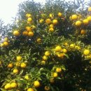 해덕농장 이미지