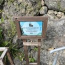 숲속게스트하우스 | W37. 일본 오키나와 촌캉스 감성 카이자 게스트하우스 추천 후기