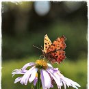 능동공원 이미지