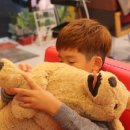 강아지 공화국 이미지