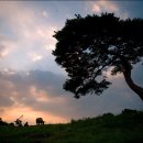 감천 소리 이미지