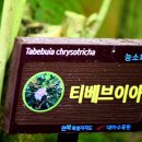 소트