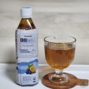 주식회사참메디 | 맹물대신 마시는 사무실음료 추천 : 닥터워터 아이밸런스 결명자차 마리골드 빌베리는 0kcal!