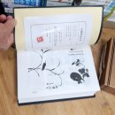 금성문화사 - 동구 백서로125번길 17 | 금성문화사