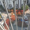 코루츠 | 늦자 늦일 가을맞은 공시생일기 : 꼬북칩 초코츄러스 존맛