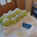 파니스코르