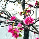 성산구 ⓒ-18 이미지