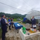 부상농장 이미지