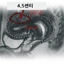 기린한의원 이미지