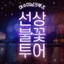 돌산공원 정상 | 여수만 5번 다녀온 에디터의 찐 후기! 동선 낭비 제로, 여수 1박 2일 여행코스 BEST 10 완벽 가이드