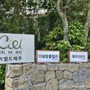 씨엘드 제주 풀빌라 후기 가족여행에 딱! 수영장·자쿠지 완비 프라이빗 숙소